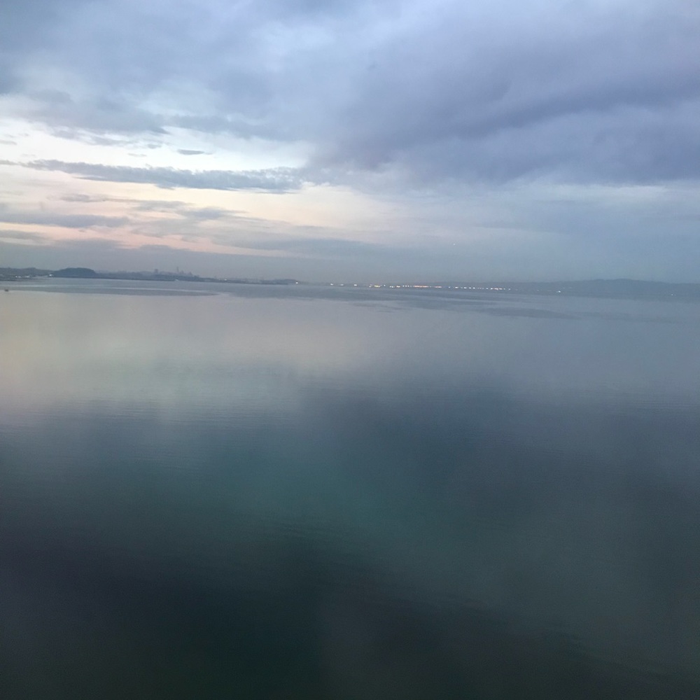 Meet your Posher, Joy